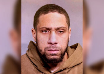 Criminal lengthy rap sheet busted for 19 NYC burglaries — months after prison release