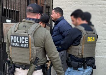 Dems scream 'racism,' but NYC minorities are cheering Trump's ICE raids