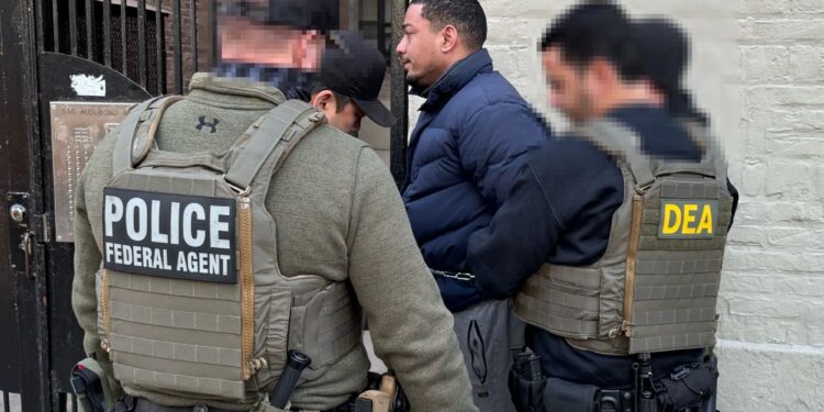 Dems scream 'racism,' but NYC minorities are cheering Trump's ICE raids