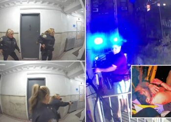 Dramatic video shows NYPD cop shooting knife-wielding man in apartment building, as sources say language barrier was a likely factor