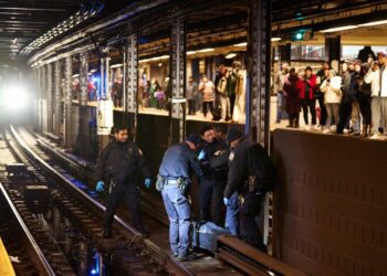 NYPD officers rescuing an emotionally disturbed man stuck on the third-rail at the 42nd St-Port Authority subway station