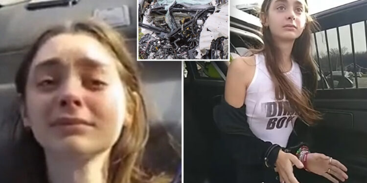 'Hell on wheels' killer whined about handcuffs during arrest: new video