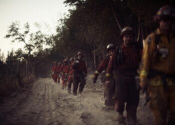 Several firefighters are walking on a dirt path in a line.