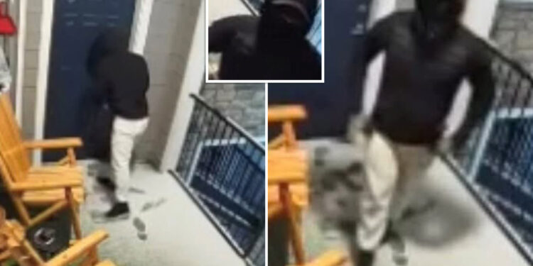 Man checks on brother's apartment after security alert and ends up shot by burglar