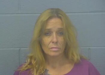 Patricia Williams, 44, was sentenced to 12 years in prison after pleading guilty to first-degree arson.