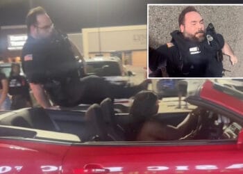 Mob mocks, posts TikTok video of injured cop flung from fleeing woman's car