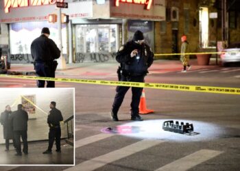 NYC deli bystander Alia Abdul-Raheem describes moment being hit in Brooklyn shooting