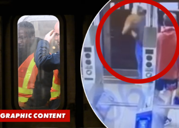 Straphanger in critical condition after being shoved into path of 1 train in Manhattan (Video)