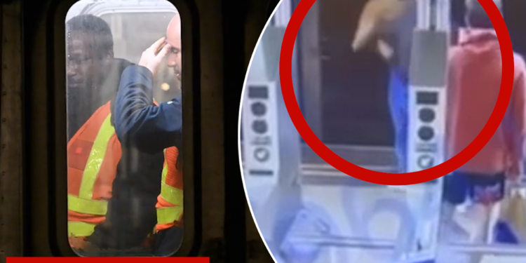 Straphanger in critical condition after being shoved into path of 1 train in Manhattan (Video)