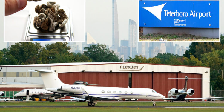 Vermont private jet passenger Steven Shaw accused of trying to kiss flight attendant, spit on pilot while armed and high on mushrooms