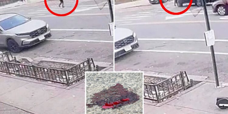 Brutal NYC hit-and-run caught on video with one in custody: NYPD