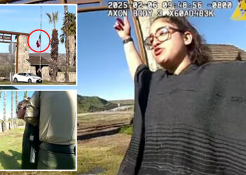 Female activist arrested for tearing down US flag and replacing with Mexico's at California park