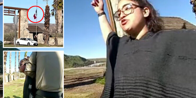 Female activist arrested for tearing down US flag and replacing with Mexico's at California park