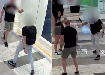 Machete-wielding duo threaten staff at shopping center