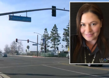 Mortgage lender executive allegedly kills 88-year-old with Range Rover while drunk: police