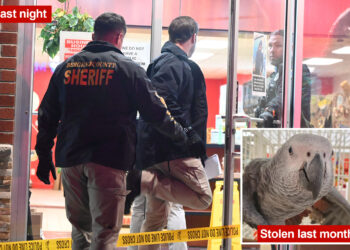 NJ bird shop owner shot with a crossbow in random attack