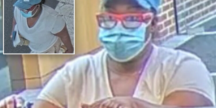 New Jersey woman robbed bank of $60K with painted water gun: feds