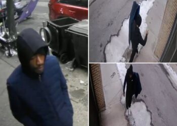 Parolee with 20 priors busted in brutal attempted rape of woman where he posed as ICE agent: sources