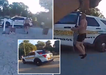 Shirtless Florida man suspected of attempted murder swipes patrol car, then carjacks SUV before being nabbed: officials