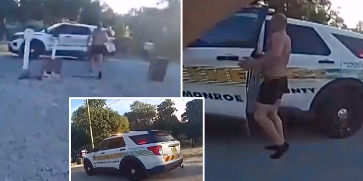 Shirtless Florida man suspected of attempted murder swipes patrol car, then carjacks SUV before being nabbed: officials