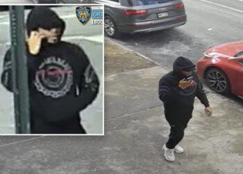 Thief steals shopping cart holding $40K in cashier's checks from 85-year-old NYC woman: cops