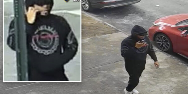 Thief steals shopping cart holding $40K in cashier's checks from 85-year-old NYC woman: cops