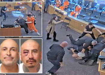 Wild video shows murder suspect being attacked in court by dead woman's uncle