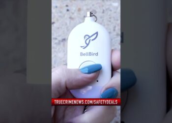 Out alone? Stay seen and heard