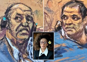 Bumbling hitman botched murder of Iranian-American journalist