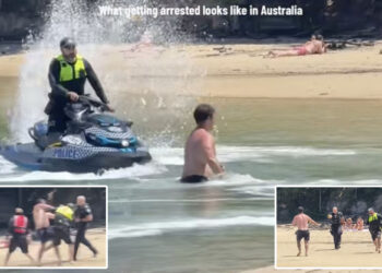 Erratic suspect leads police on wild ‘cat-and-mouse chase’ lasting several hours — before he’s captured in the water