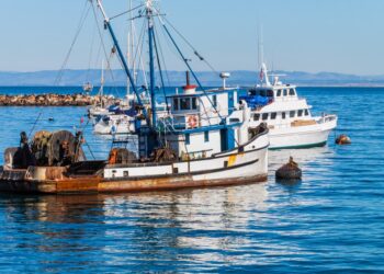 The fishermen reeled in the "wrapped" body on their boat (not pictured) on Friday, officials said.