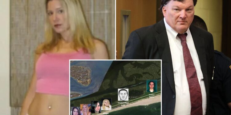 Former prosecutor wants new probe into mysterious 2013 suicide of NYC woman who washed ashore on Gilgo Beach: 'Is this Rex?'