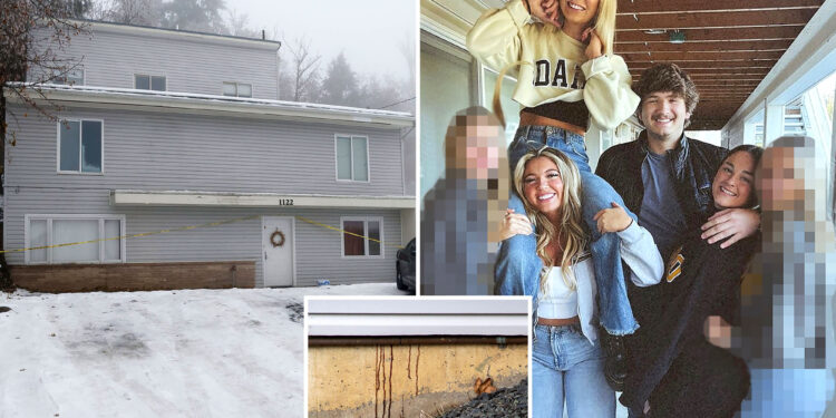 Horrifying 911 call reveals chaos after murder of four Idaho students