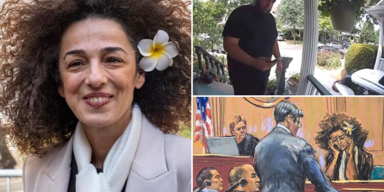 Iranian journalist Masih Alinejad describes chilling moment she saw amateurish would-be assassin staring at her