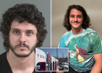 South Carolina anti-Musk activist who vandalized Tesla dealership accidentally sets himself on fire