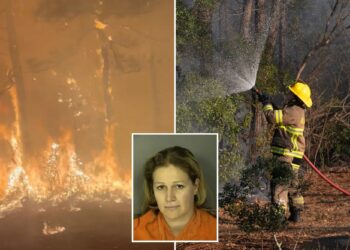 South Carolina woman, Alexandra Bialousow, arrested for igniting massive wildfire in Myrtle Beach area