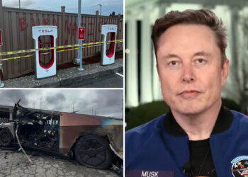 ‘Some kind of mental illness’