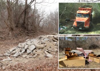 Cement head busted for dumping tons of concrete in fire-ravaged Long Island pine barrens