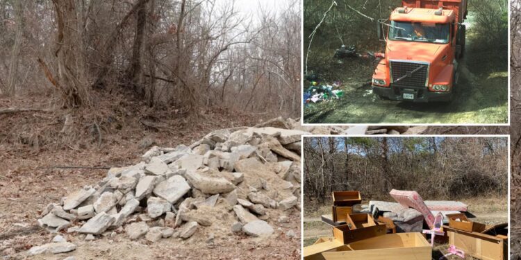 Cement head busted for dumping tons of concrete in fire-ravaged Long Island pine barrens