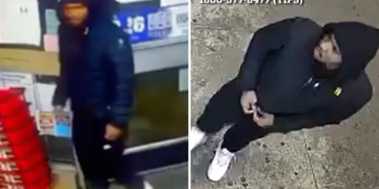 Handsy predator goes on sick sexual assault spree in NYC: NYPD