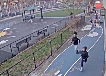 How did NY leaders let gangbangers' Bronx violence go on for so long?