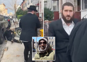 Man pushed from wheelchair in Brooklyn spat over large dogs