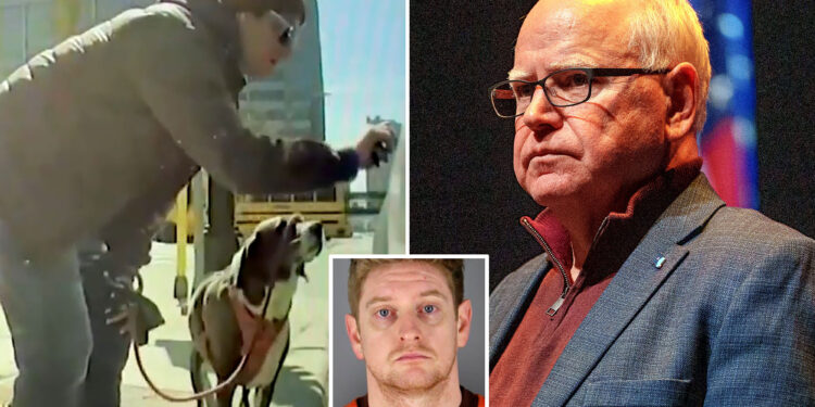 Member of Minnesota Gov. Tim Walz's administration allegedly caused $20K in damage while vandalizing Teslas: report