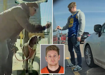 Minnesota state employee Dylan Bryan Adams let off by woke DA for alleged Teslas damage