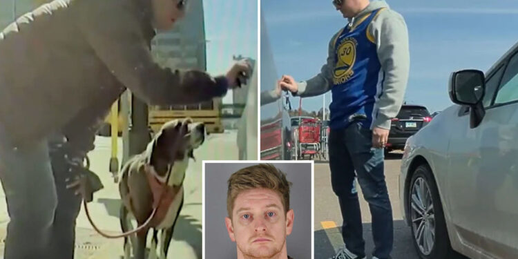 Minnesota state employee Dylan Bryan Adams let off by woke DA for alleged Teslas damage