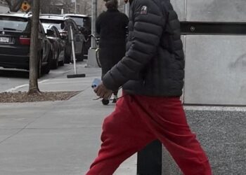 The unidentified predator came up behind the woman as she strolled at Middagh and Willow streets in the shadow of the Brooklyn Bridge around 7:50 a.m., police said. 