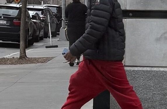 The unidentified predator came up behind the woman as she strolled at Middagh and Willow streets in the shadow of the Brooklyn Bridge around 7:50 a.m., police said. 