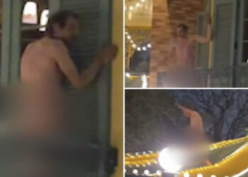Naked Canadian wacko arrested at Disneyland after scaring visitors