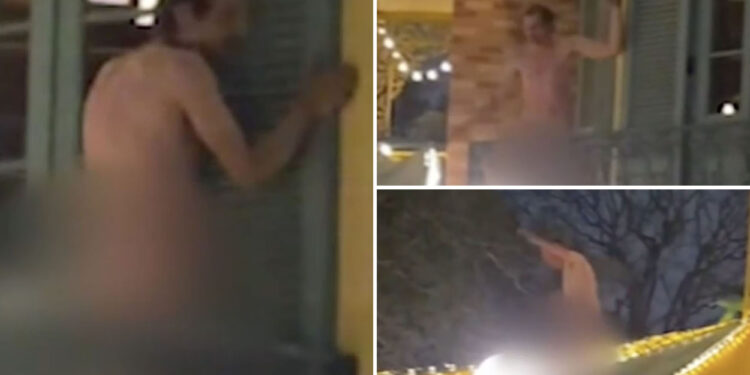 Naked Canadian wacko arrested at Disneyland after scaring visitors