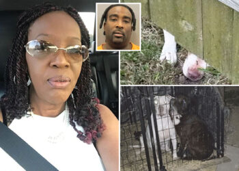 Texas man charged after 3 pit bulls fatally maul neighbor